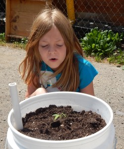Girl watching plant growing
